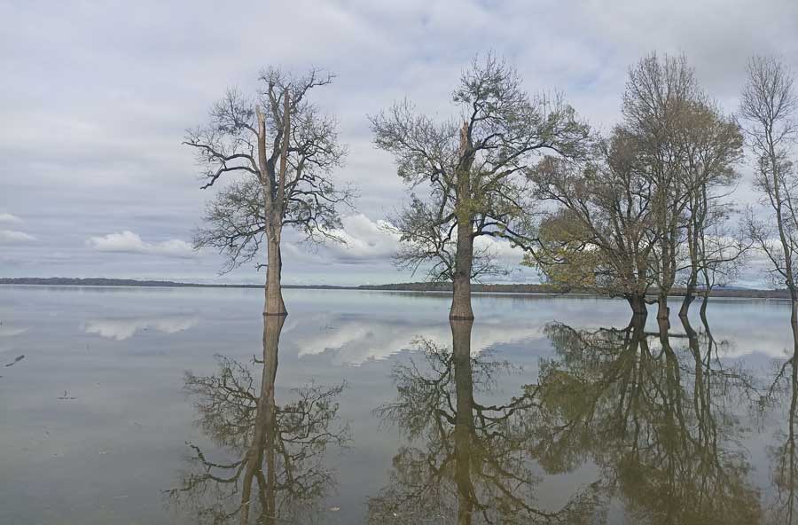 Park prirode Lonjsko polje - zeleni biser Sisačko-moslavačke županije