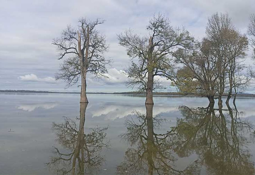 Park prirode Lonjsko polje - zeleni biser Sisačko-moslavačke županije