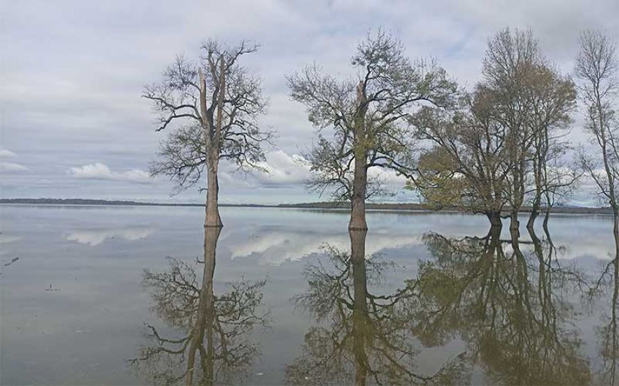 Park prirode Lonjsko polje - zeleni biser Sisačko-moslavačke županije